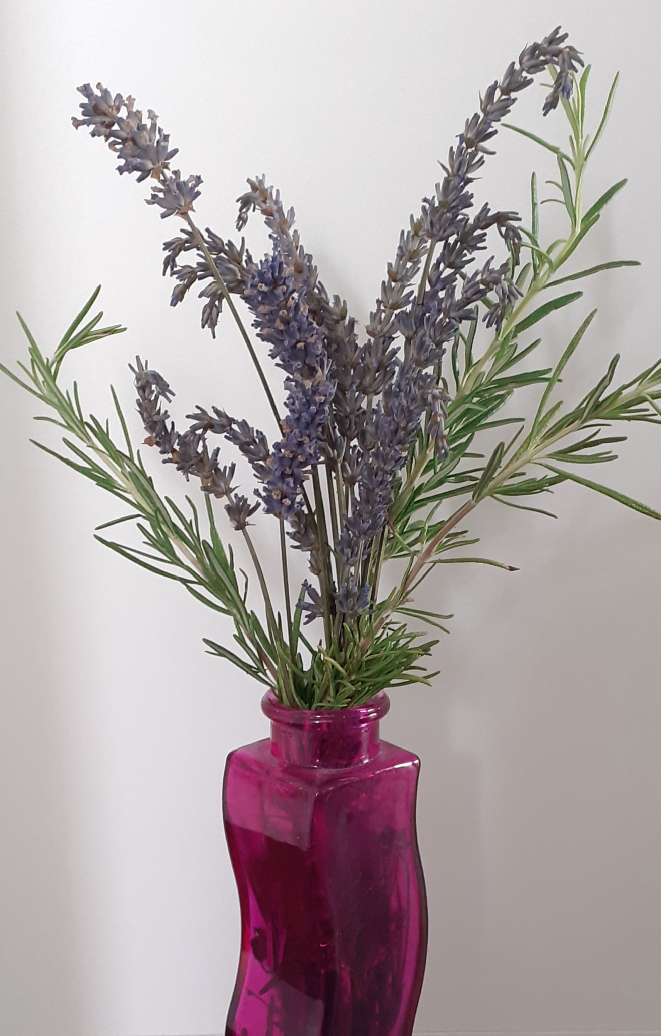 Vase mit Lavendel und Rosmarin - Symbol f&uuml;r Naturheilkunde